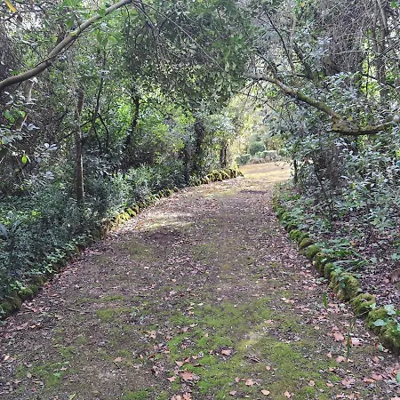 Casa D Casa de Campo Óbidos