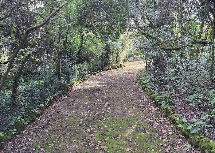 奥比多斯卡萨酒店 乡村民宿 奥比多斯