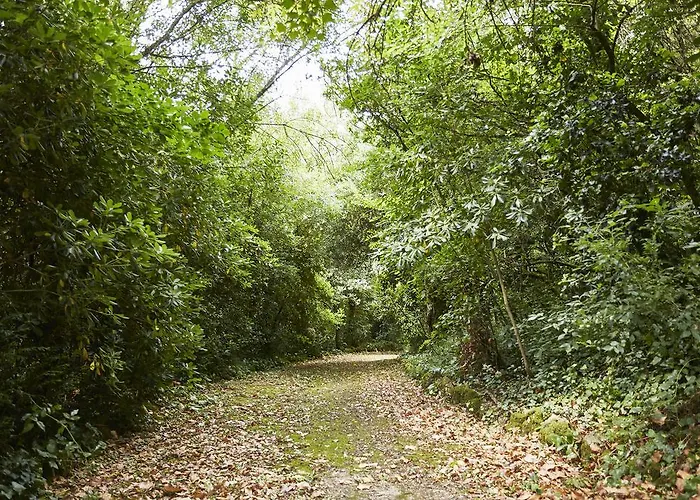奥比多斯卡萨酒店 乡村民宿 *